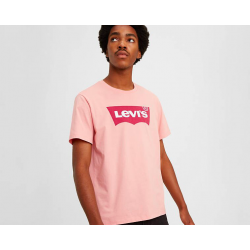 Levi's® Logo Graphic Tee Shirt